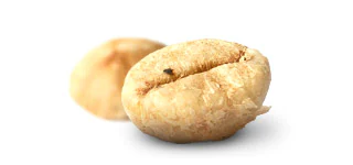 cafe-kopiluwak