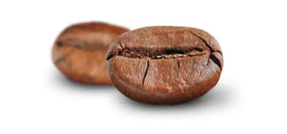 cafe-robustica